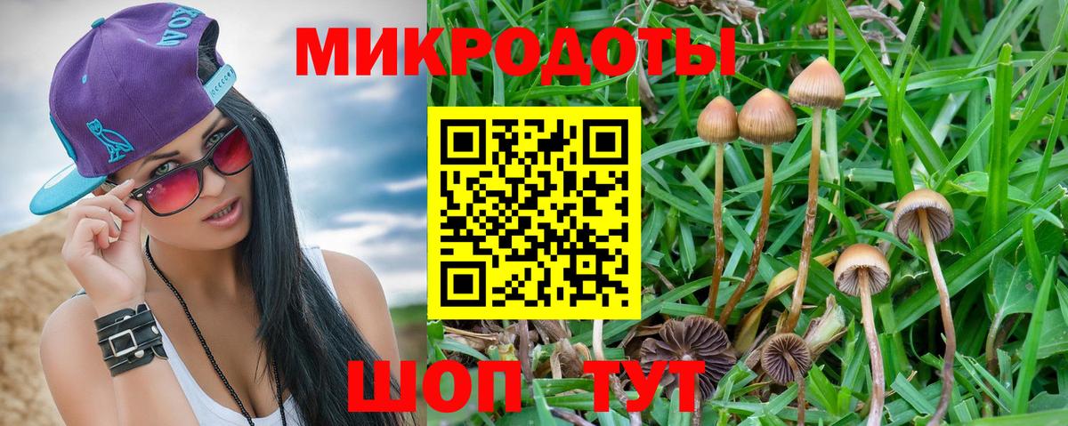Галлюциногенные грибы мицелий  Вход с VPN  Оренбург 
