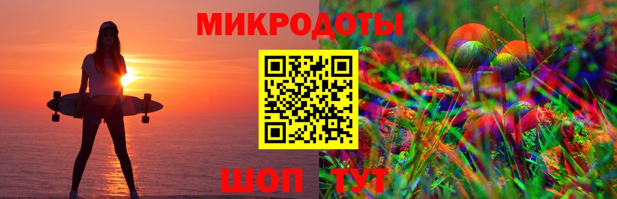 Галлюциногенные грибы Psilocybe Оренбург